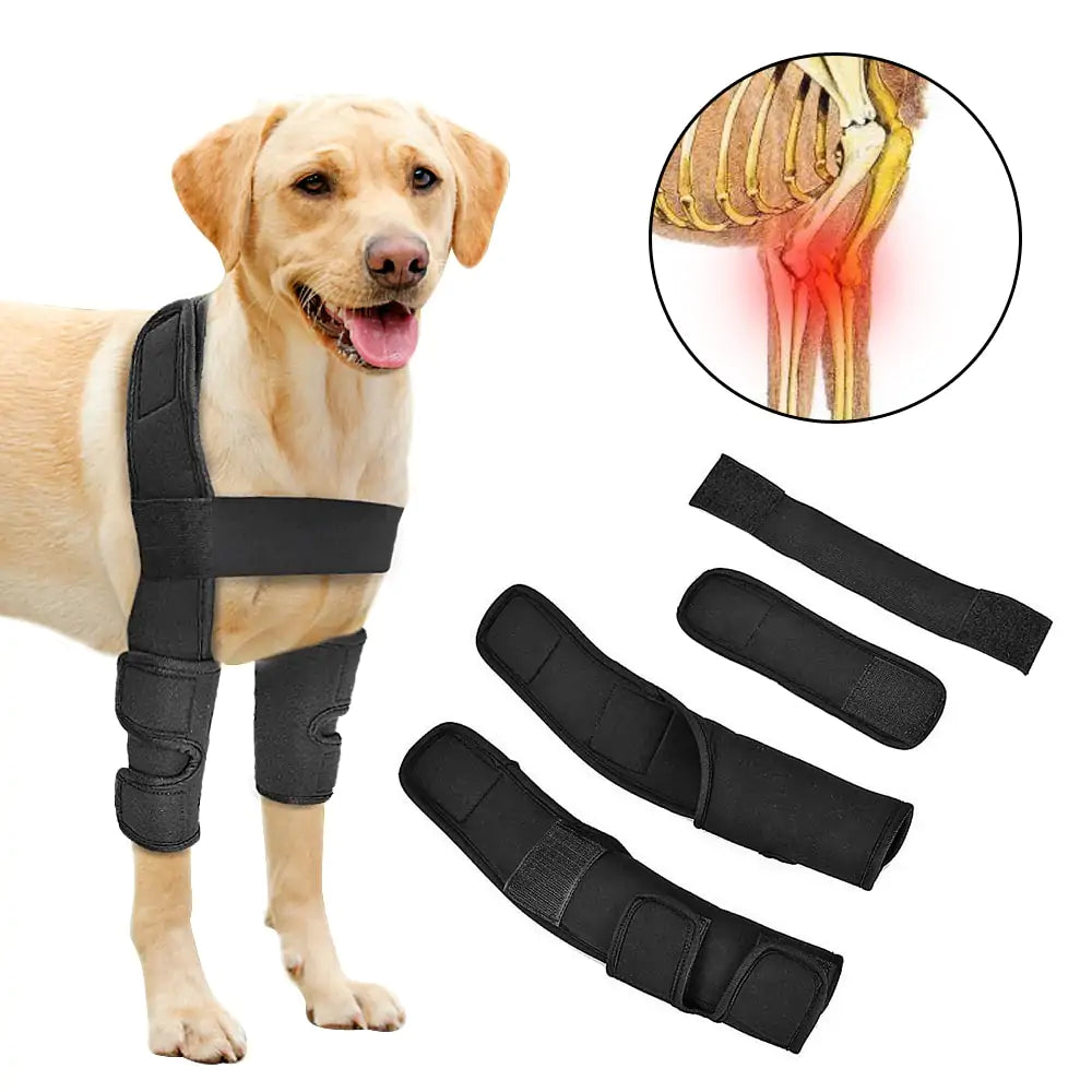 Dog Leg Brace Leg Support