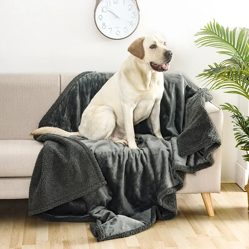 Durable Lightweight Waterproof Pet Blanket