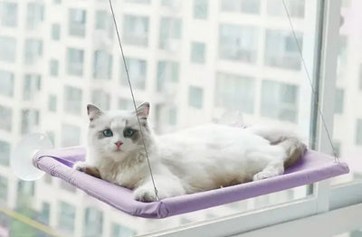 Cat Window Hammock Lounger