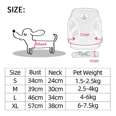 Cat Harness and Leash Set Escape Proof S-XL