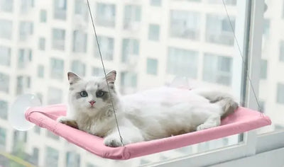 Cat Window Hammock Lounger