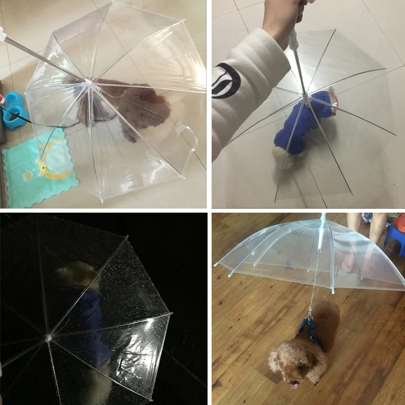 Clear Pet Umbrella