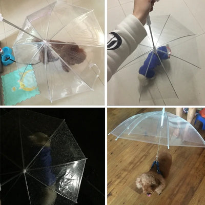 Clear Pet Umbrella