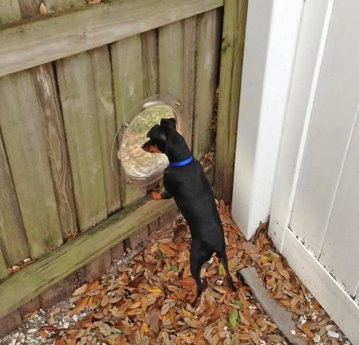 Fence Window Dome for Dogs