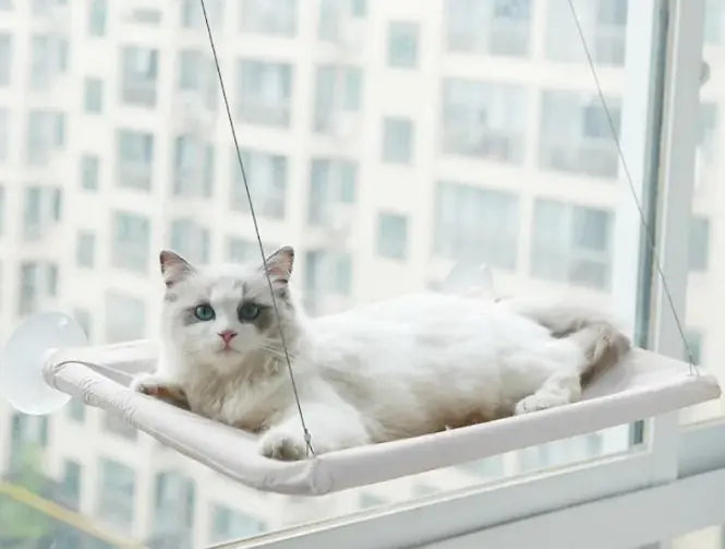 Cat Window Hammock Lounger