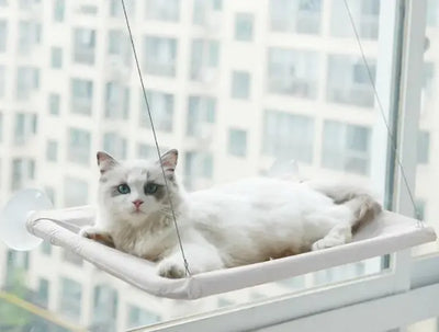 Cat Window Hammock Lounger