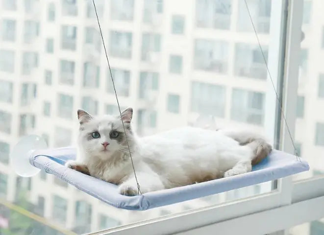 Cat Window Hammock Lounger