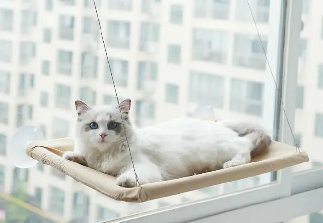 Cat Window Hammock Lounger