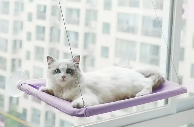 Cat Window Hammock Lounger