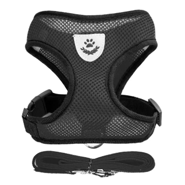Cat Harness and Leash Set Escape Proof S-XL