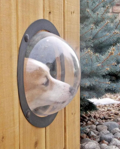 Fence Window Dome for Dogs