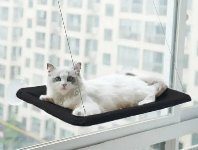 Cat Window Hammock Lounger
