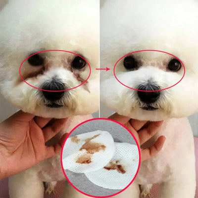 Multi-Purpose Pet Wet Wipes